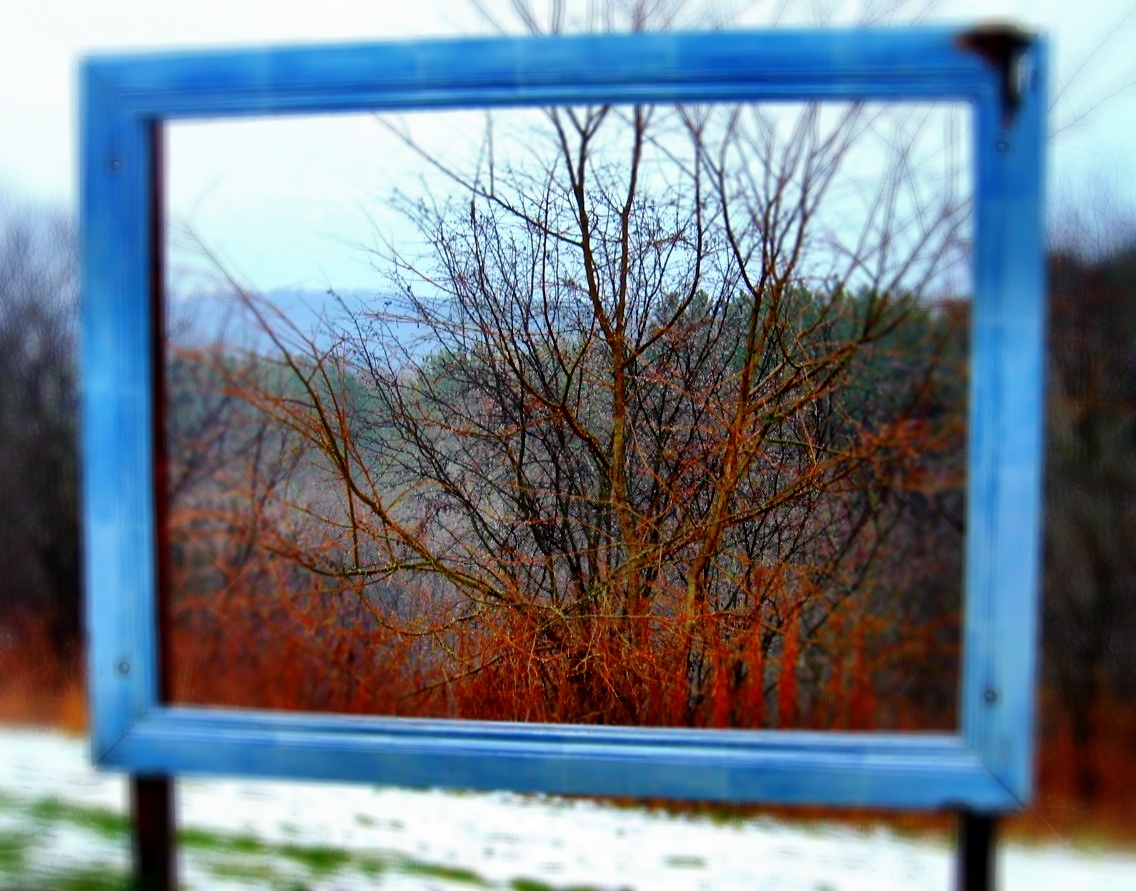 Camera+ recipe?? scene: Clarity? effect: Depth of Field (88%)